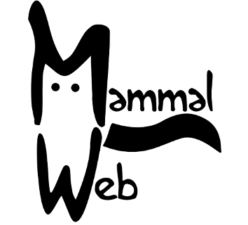 MammalWebTest